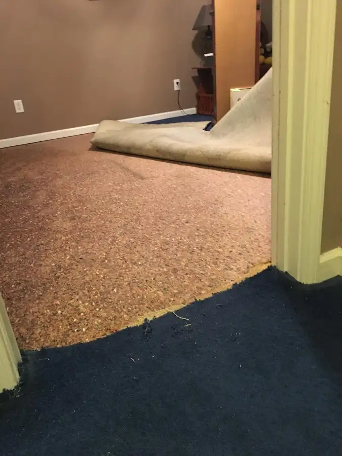 Carpet pad removal revealing water damage during Water Mitigation Services in Bartlett