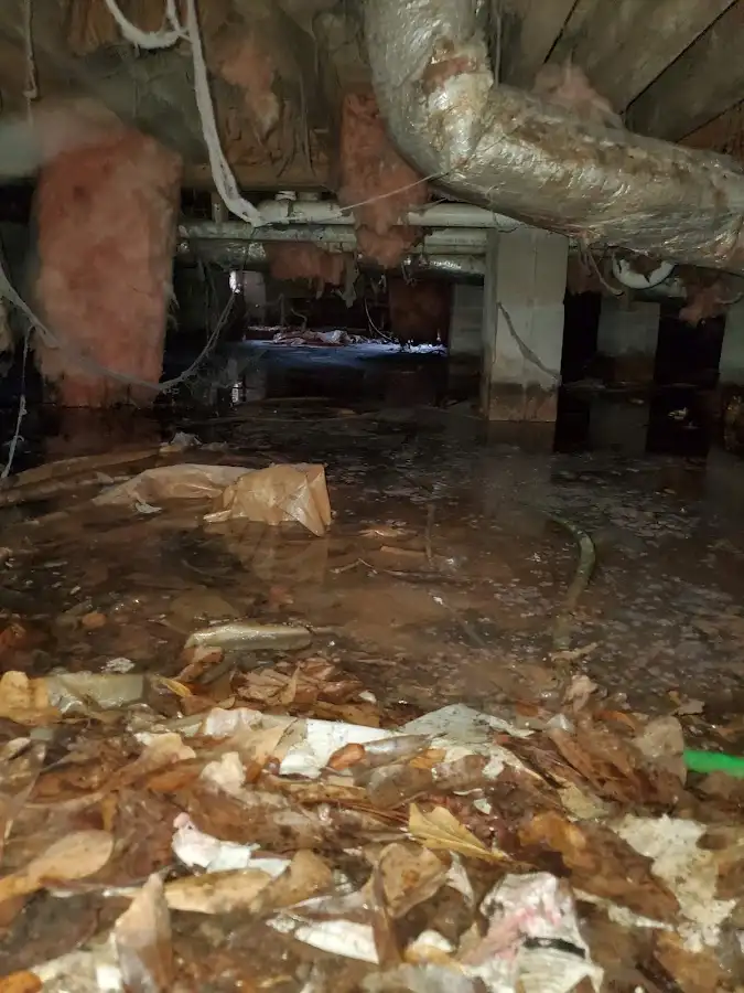 Crawl space flood assessment for Leak Detection & Repair in Bartlett